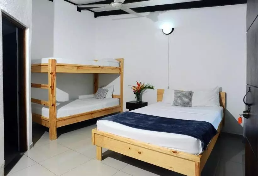 هاستل Wide Mouth Frog Quepos