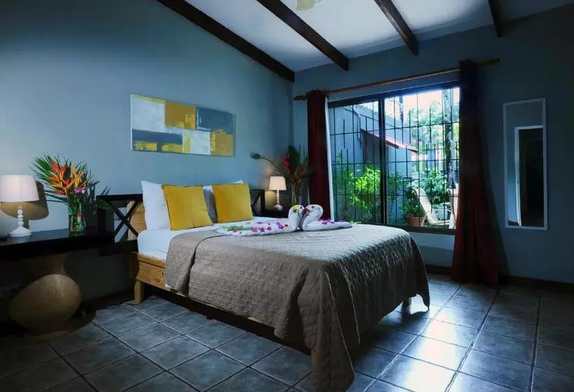 هاستل Wide Mouth Frog Quepos