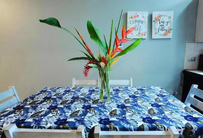 هاستل Wide Mouth Frog Quepos