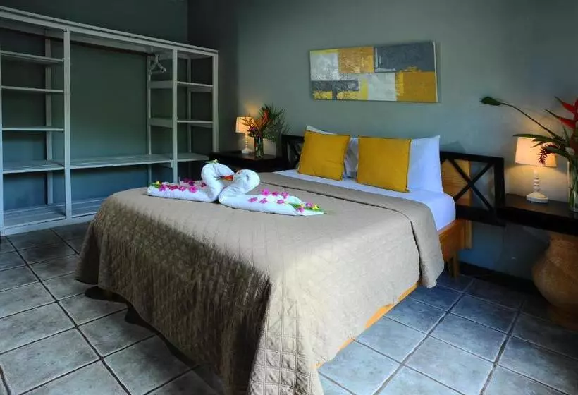 هاستل Wide Mouth Frog Quepos