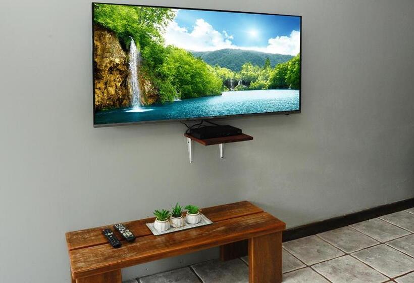 هاستل Wide Mouth Frog Quepos