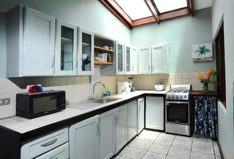 هاستل Wide Mouth Frog Quepos