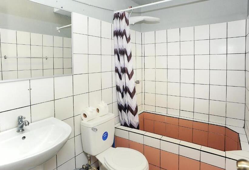 هاستل Wide Mouth Frog Quepos