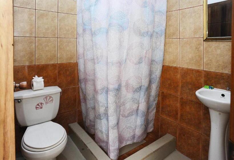 هاستل Wide Mouth Frog Quepos