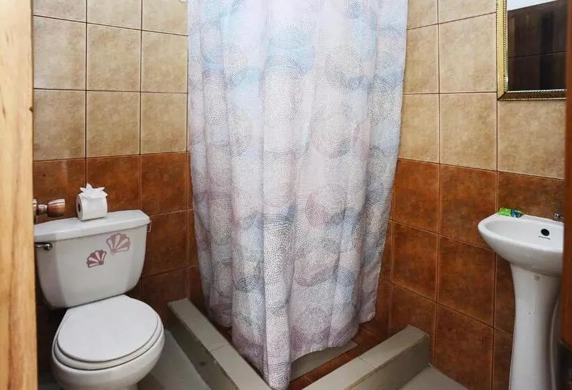 هاستل Wide Mouth Frog Quepos