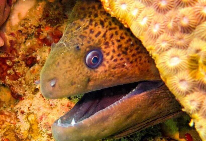 Hotel Natraj Guest House