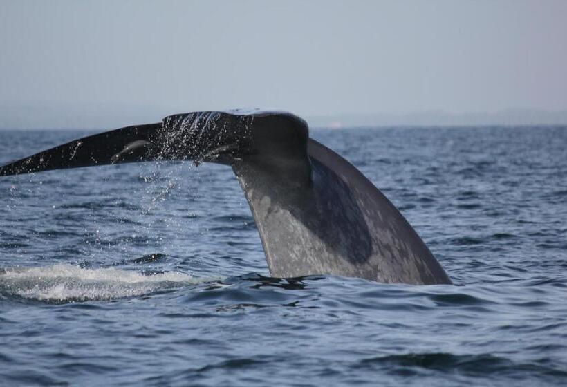 Hotel Natraj Guest House