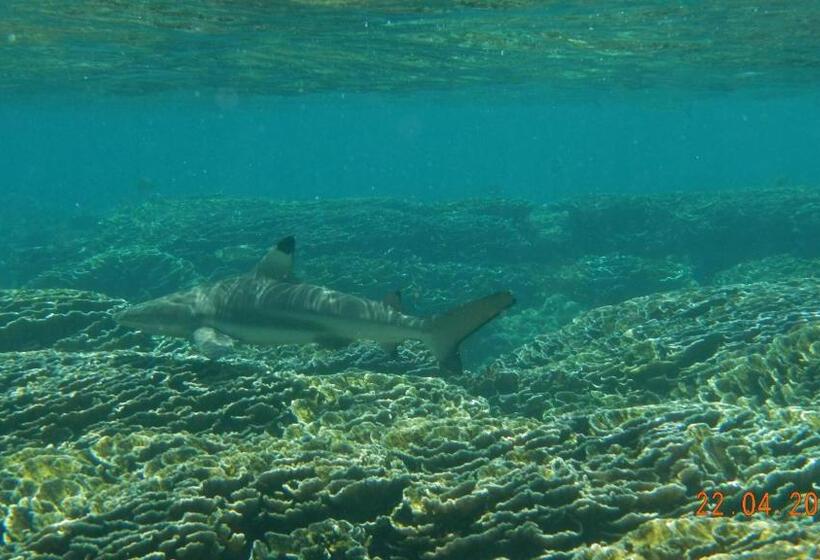 Hotel Natraj Guest House