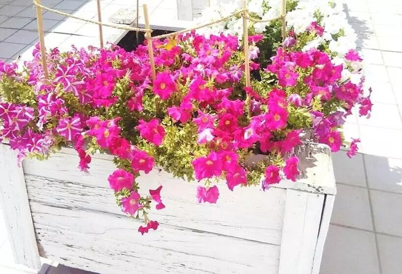 ベッドアンドブレックファースト Habitacions Sant Pere Claver