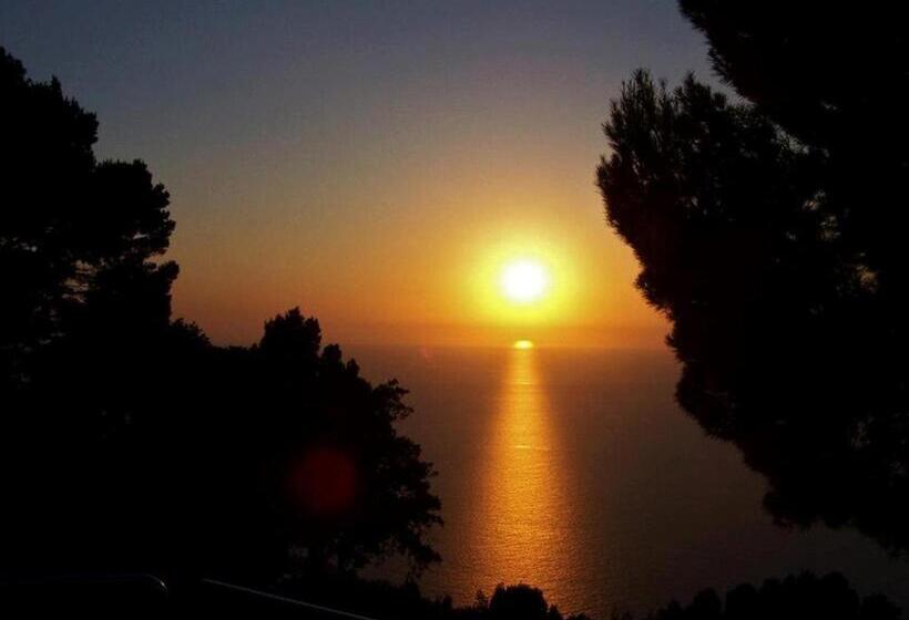 هتل Bordoy Continental Valldemossa