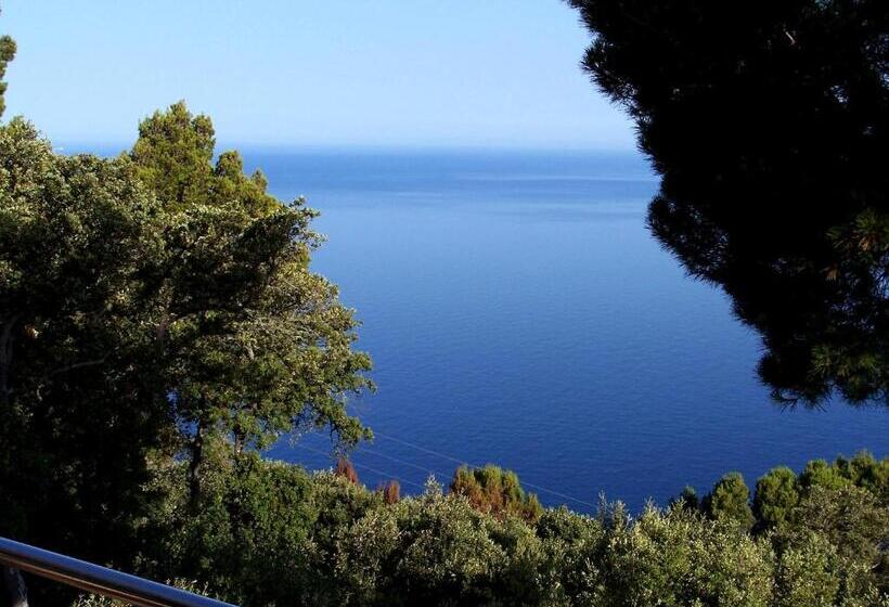 هتل Bordoy Continental Valldemossa