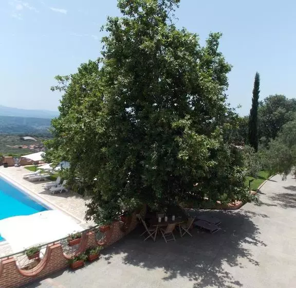 B&b Pacilita