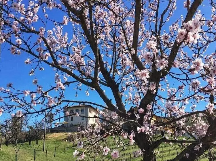 تختخواب و صبحانه Cascina Baresane