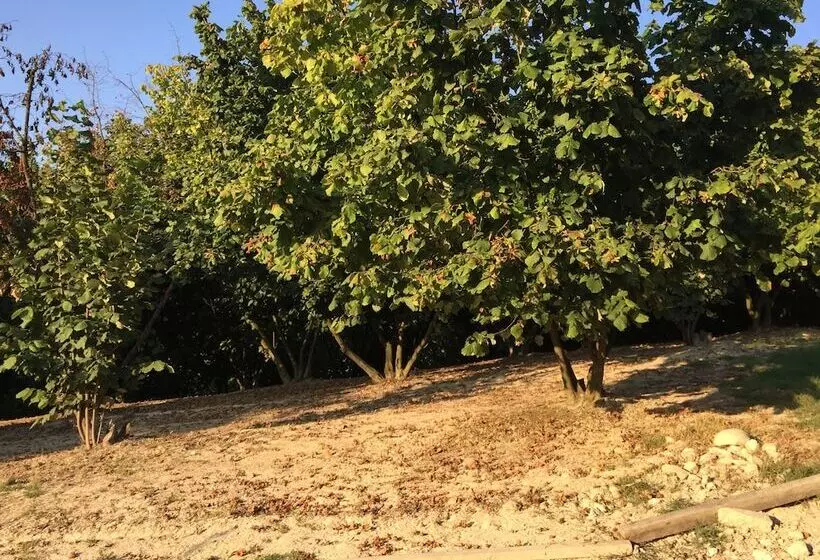 تختخواب و صبحانه Cascina Baresane