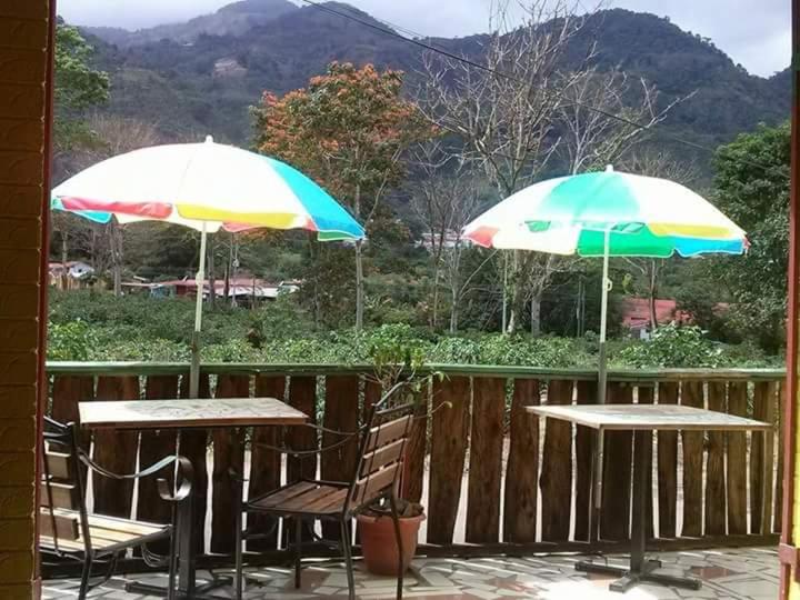 مبيت وإفطار House Of Coffee