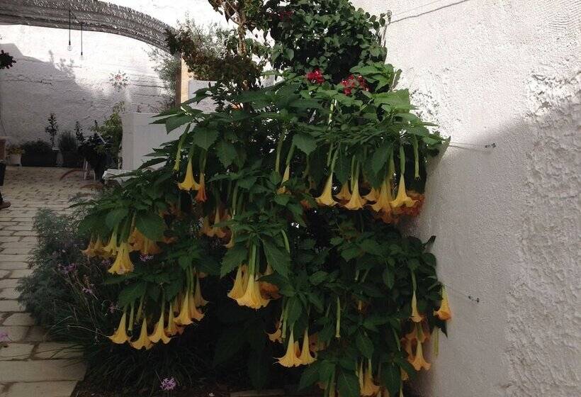 צימר La Loggetta