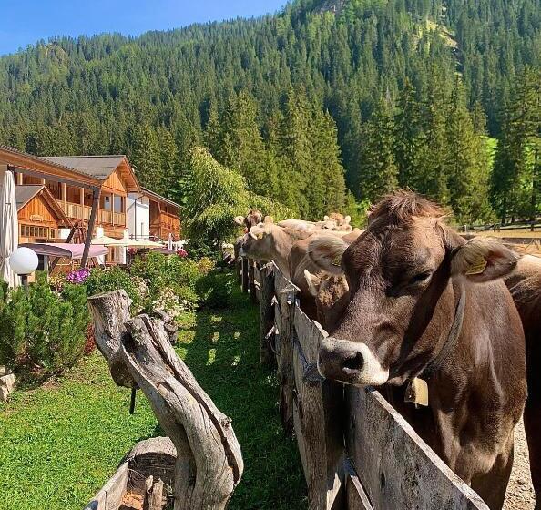 Alpin Natur Hotel Brückele