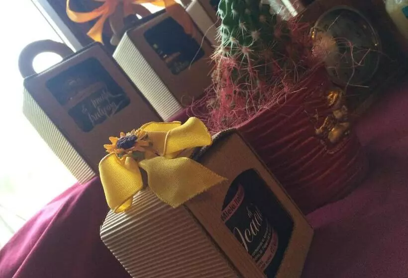 Aamiaismajoitus (B&B) Casa Pellis