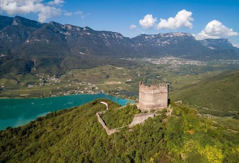تختخواب و صبحانه Torgglhof