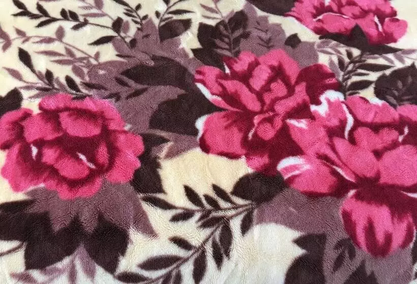 Bed and Breakfast Whitehouse Guesthouse