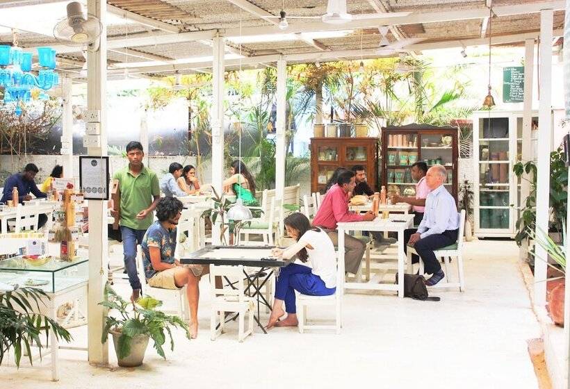 مبيت وإفطار Yogisthaan