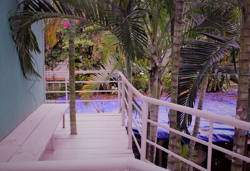 مبيت وإفطار Yogisthaan