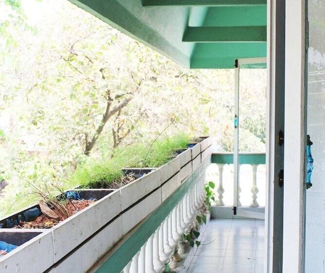 مبيت وإفطار Yogisthaan