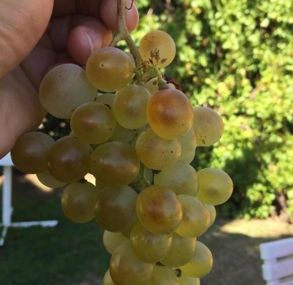 ホテル Campbell St Lodge