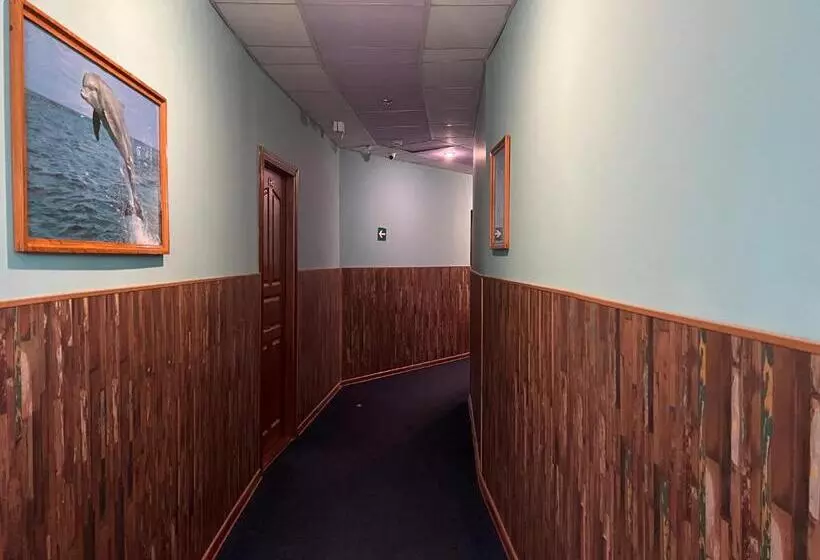 هتل Three Dolphins