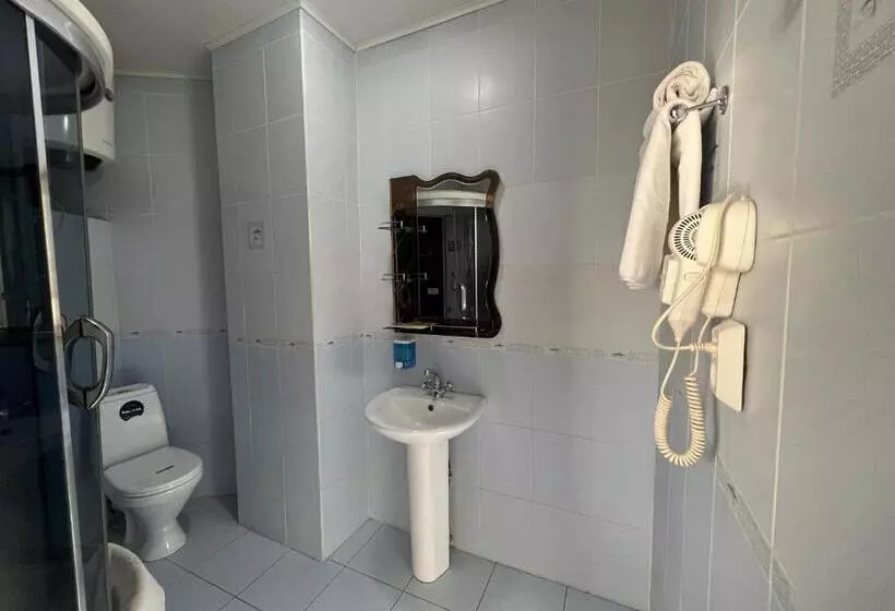 هتل Three Dolphins