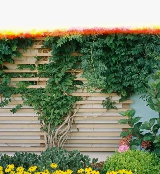 Motelli Boarding House Cape May