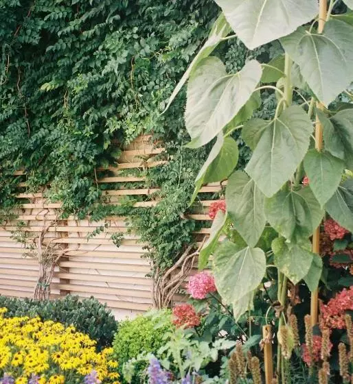 Motelli Boarding House Cape May