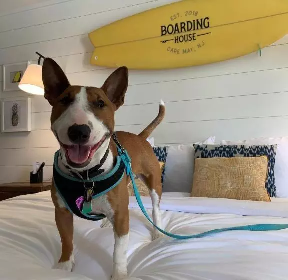 Motelli Boarding House Cape May