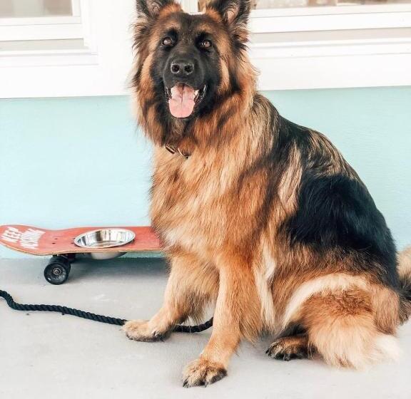 فندق على الطريق Boarding House Cape May