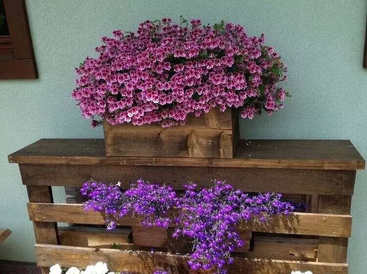 B&b Le Fontane Fam. Degan