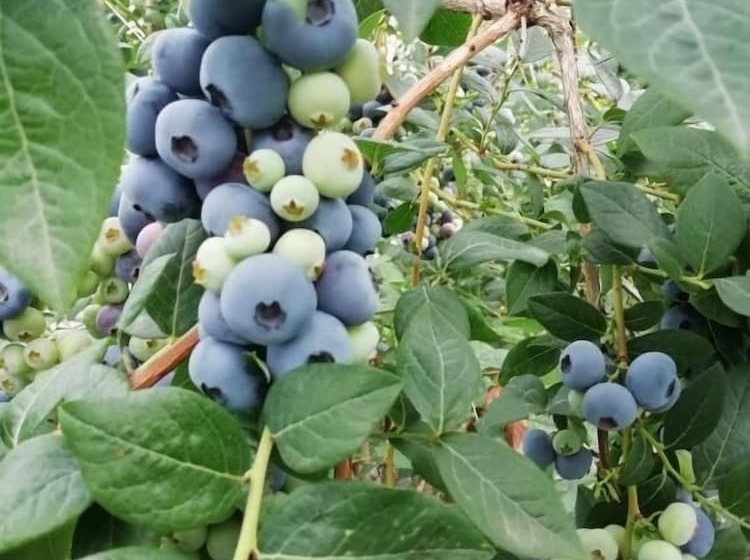 B&b Le Fontane Fam. Degan