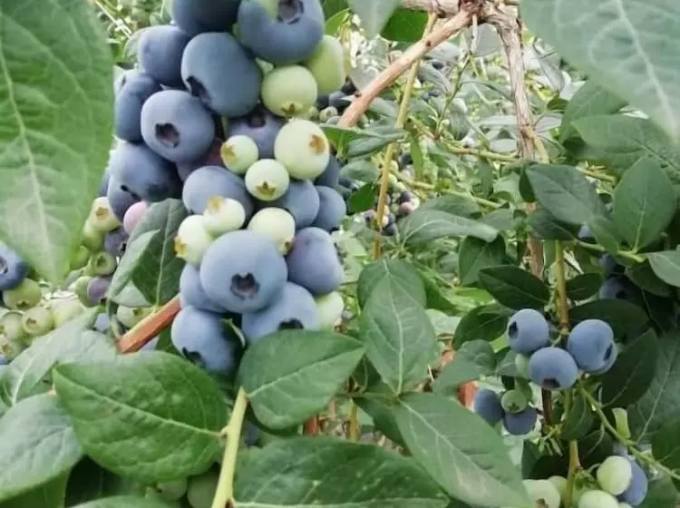 B&b Le Fontane Fam. Degan