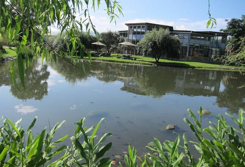 تختخواب و صبحانه Green Willow House