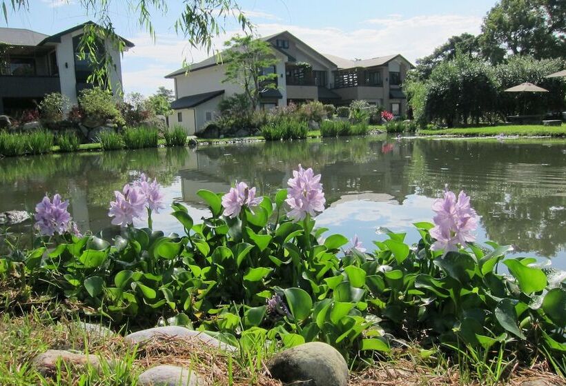 تختخواب و صبحانه Green Willow House