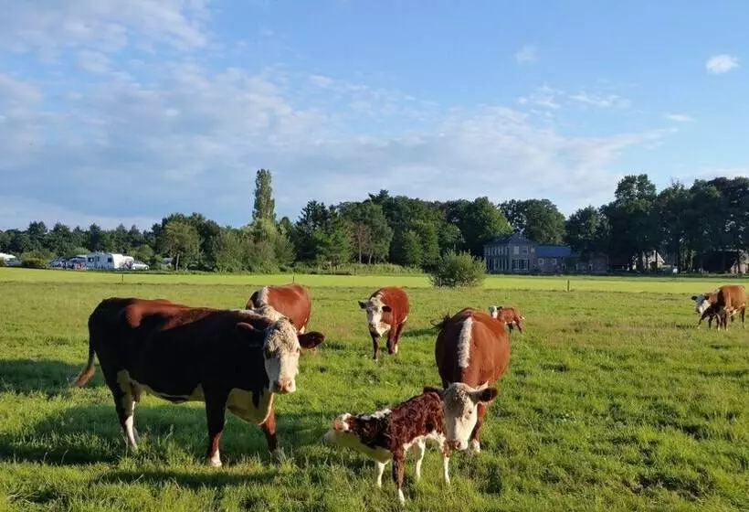 ベッドアンドブレックファースト Restaurant Roerdinkhof