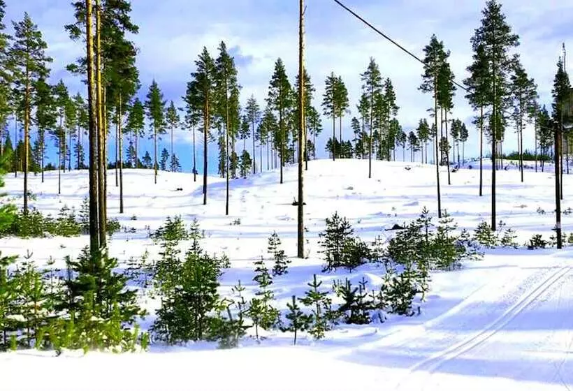 Furudals Vandrarhem Och Sjöcamping