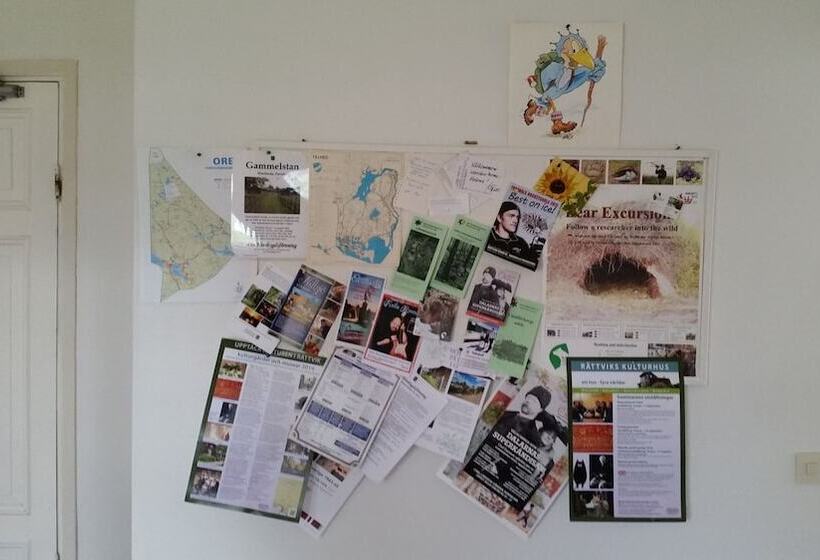 Furudals Vandrarhem Och Sjöcamping