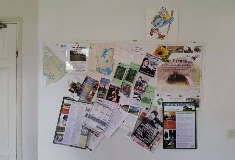 Furudals Vandrarhem Och Sjöcamping