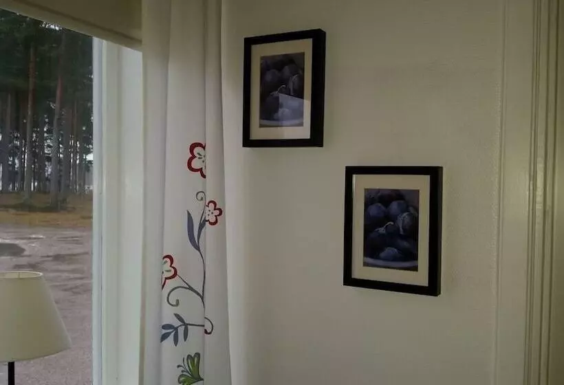 Furudals Vandrarhem Och Sjöcamping