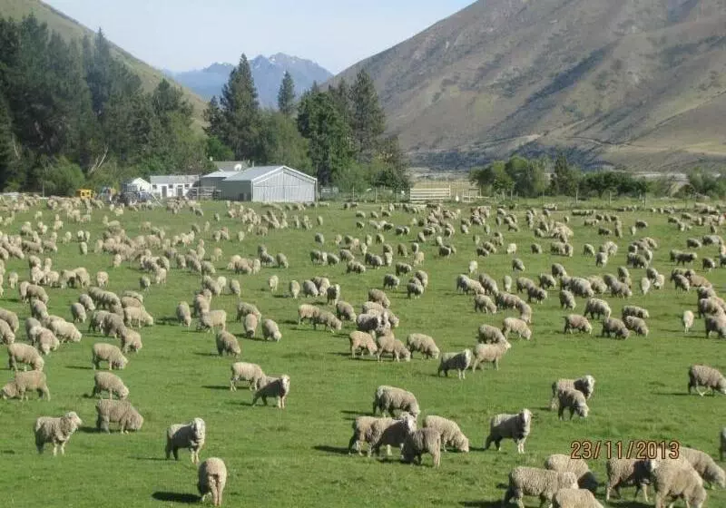Retkeilymaja Dunstan Downs High Country Sheep Station