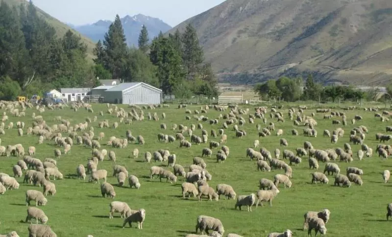 Retkeilymaja Dunstan Downs High Country Sheep Station