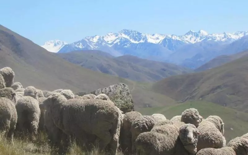 Retkeilymaja Dunstan Downs High Country Sheep Station