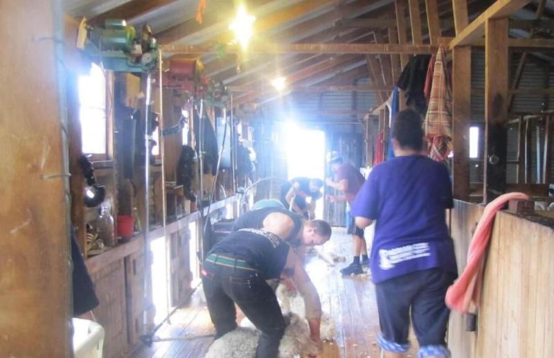 הוסטל Dunstan Downs High Country Sheep Station