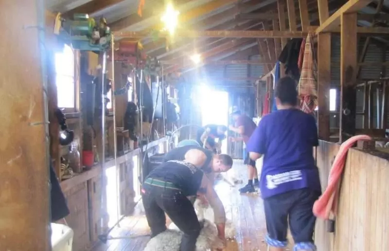 Retkeilymaja Dunstan Downs High Country Sheep Station