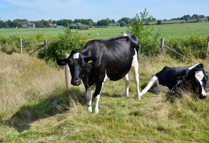 צימר De Auw Sjoekelaatfabriek